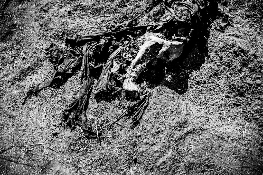 Alok, Al Hasakah, Syria - 11.10.2013: A dead body of a fighter of the Jhabat al nusra can still be seen days after he has been killed in the fighting between the YPG and his own unit.